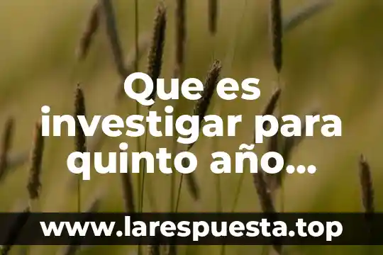 Que es investigar para quinto año español