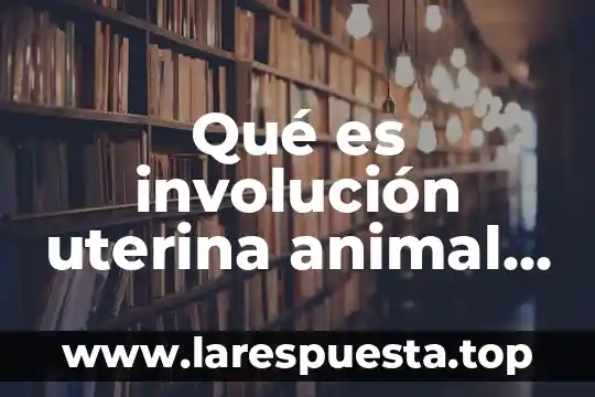 Qué es involución uterina animal pecuarios