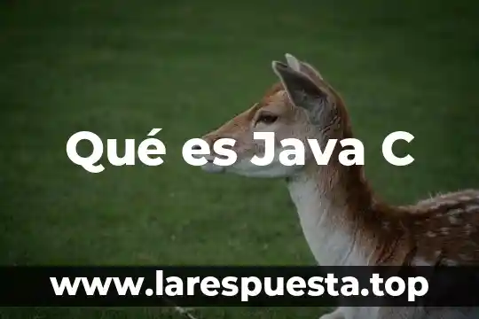 Que es una prueba unitaria java 6 Qué es Java C
