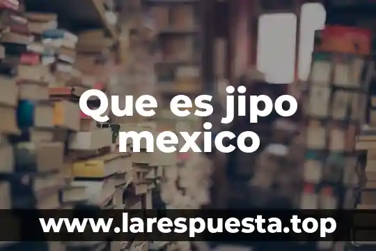 Que es la vida colonial en mexico 5 Que es jipo mexico