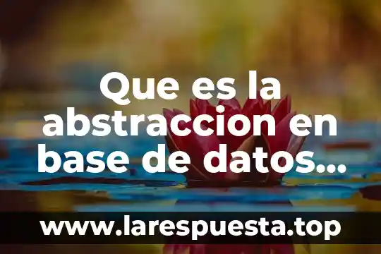Que es la mayeutica yahoo 8 Que es la abstraccion en base de datos yahoo
