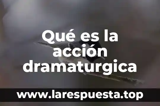 Que es accion motriz fina 7 Qué es la acción dramaturgica