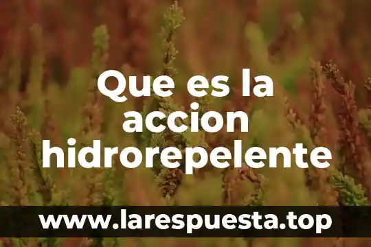 Qué es la acción dramaturgica 8 Que es la accion hidrorepelente