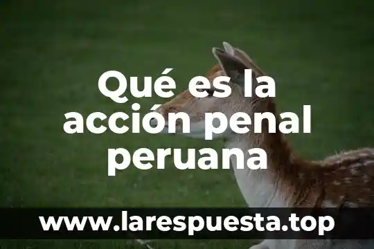 ¿Qué es el Código Penal Federal? 3 Qué es la acción penal peruana
