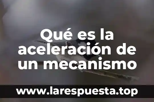 Aceleracion cientifica que es y ejemplos 5 Qué es la aceleración de un mecanismo
