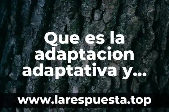Que es la adaptacion adaptativa y un ejemplo