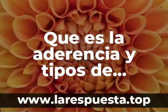 Que es la aderencia y tipos de tratamiento