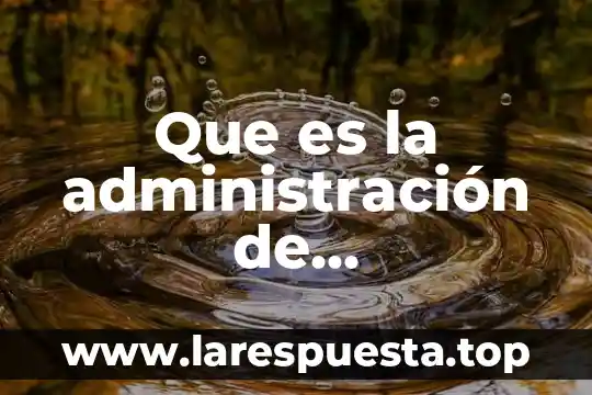 Que es la administración de conocimientos