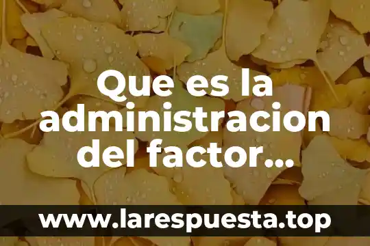 Qué es el máximo factor común Yahoo 3 Que es la administracion del factor humano
