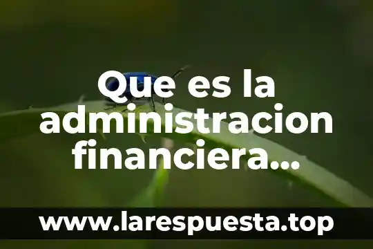 Que es un oficio en administracion 8 Que es la administracion financiera segun autores