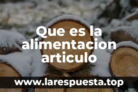 Que es la alimentacion articulo