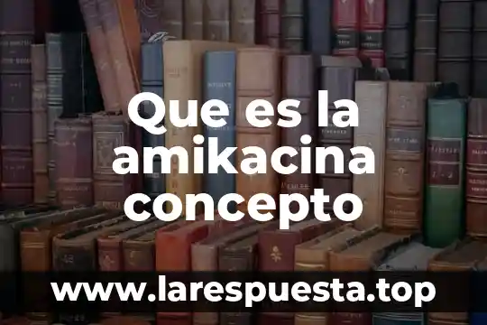 Que es la amikacina concepto