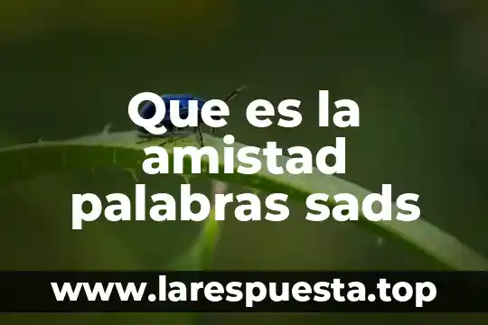 Que es la generalizacion de palabras 7 Que es la amistad palabras sads