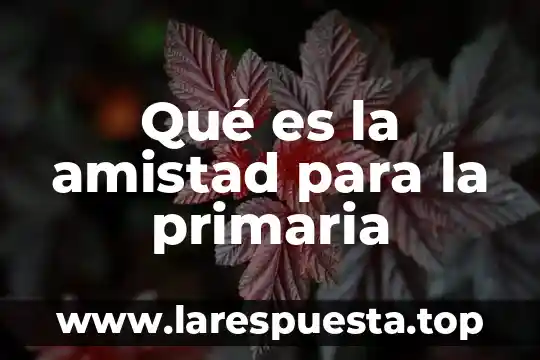 Que es fraccion primaria 4 Qué es la amistad para la primaria