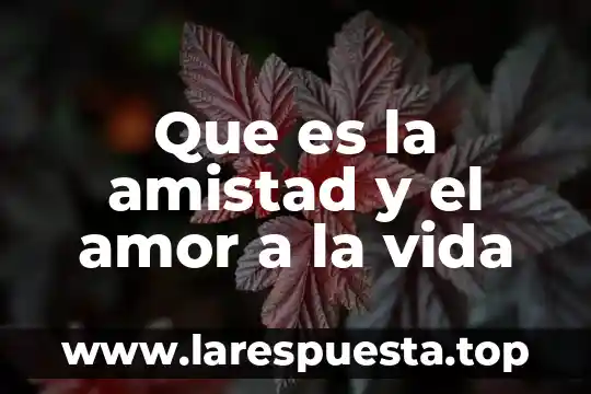 Que es una variable en una investigacion cientifica 7 Que es la amistad y el amor a la vida
