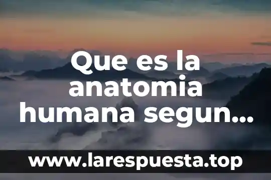 Epidermis humana que es 7 Que es la anatomia humana segun autores diferentes