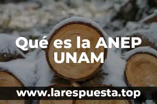 Que es una marca segun la unam 4 Qué es la ANEP UNAM