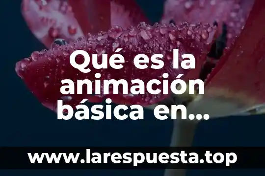 Que es area de formacion basica 4 Qué es la animación básica en medios audiovisuales