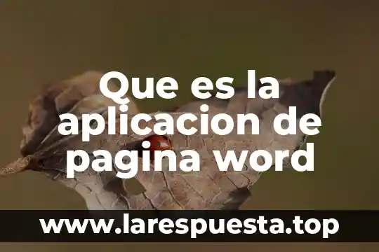 Que es la aplicacion de pagina word