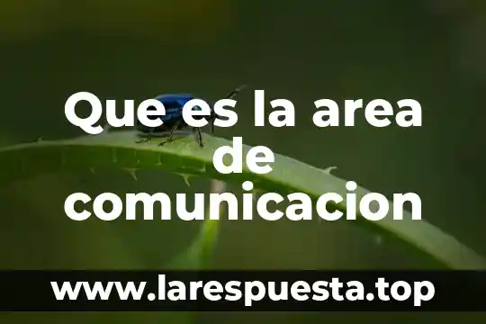 Que es la area de comunicacion