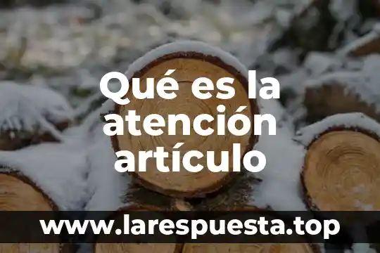 Que es la introduccion de un articulo 3 Qué es la atención artículo