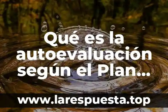 Que es la educacion integral plan de estudios 2011 8 Qu茅 es la autoevaluaci贸n seg煤n el Plan 2011