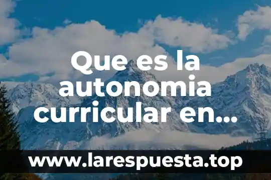 Que es la autonomia curricular en primaria