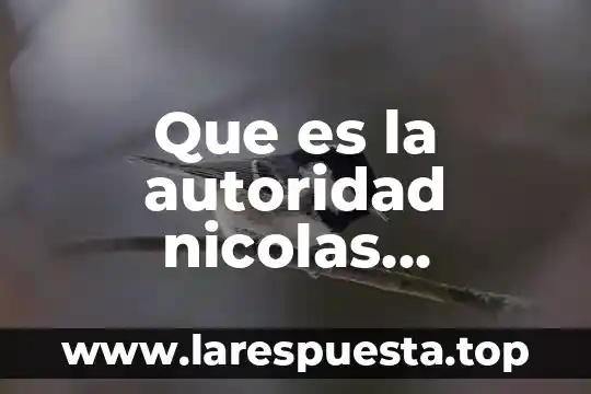 Que es la autoridad nicolas maquiavelo