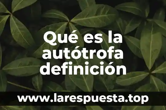 Qué es la autótrofa definición