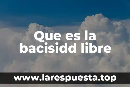 Que es un sistema de paga libre 3 Que es la bacisidd libre