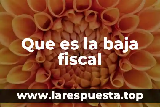Que es la baja fiscal