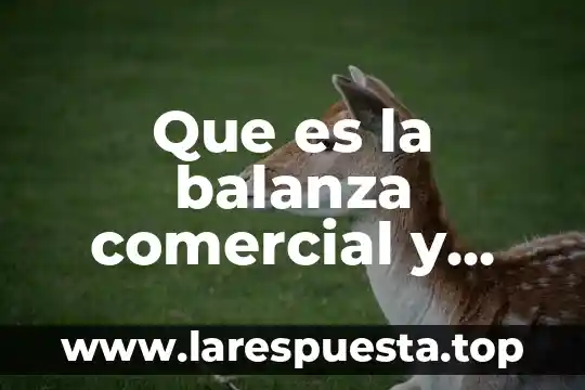 Que es el adobe y para que sirve 6 Que es la balanza comercial y para que sirve