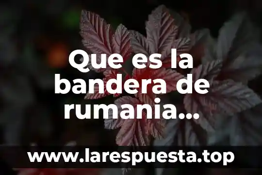 Que es la bandera de rumania historia