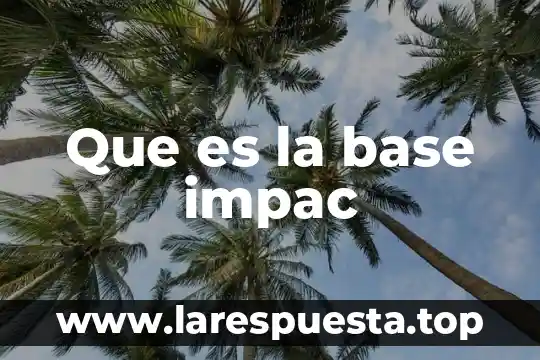 ¿Qué es DBMS en base de datos? 4 Que es la base impac