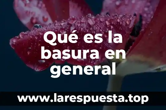 Qué es la basura en general