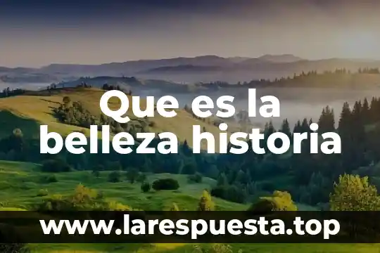 Qué es contradicción en historia 5 Que es la belleza historia