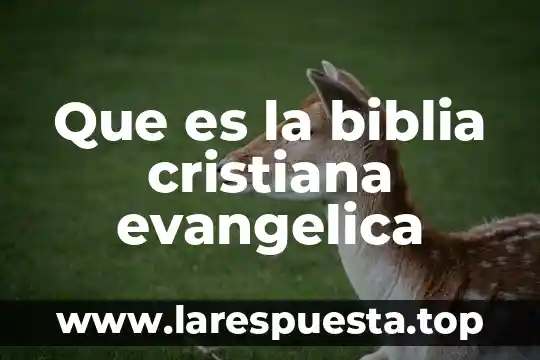 Biblia que es el hades 7 Que es la biblia cristiana evangelica