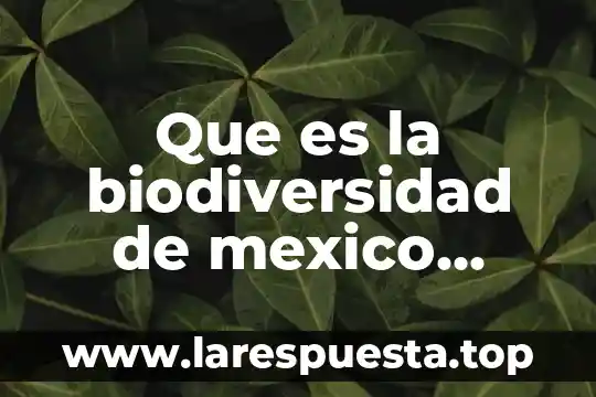 Porque drake bell dicen que es de mexico 6 Que es la biodiversidad de mexico conabio
