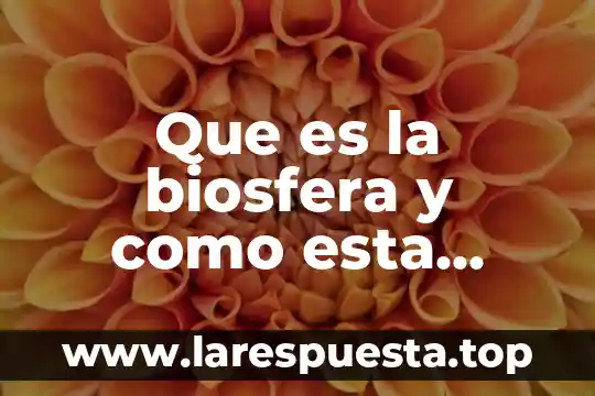 Que es la biosfera y cuales son sus caracteristicas 8 Que es la biosfera y como esta formada