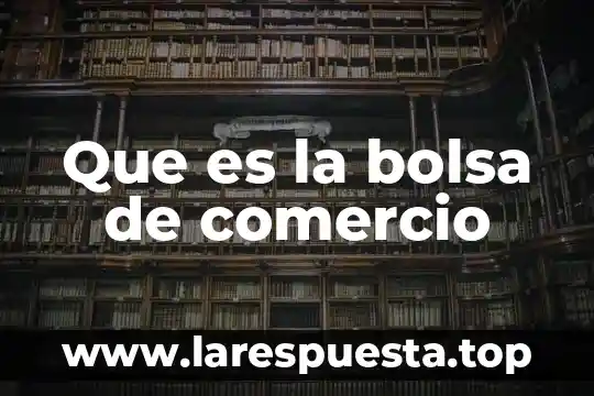 Bolsa familiar que es 3 Que es la bolsa de comercio