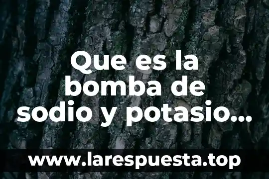Que es y como funciona la bomba de sodio 8 Que es la bomba de sodio y potasio en biologia