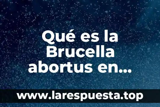 Por que es importante los recursos humanos mush galindo 7 Qué es la Brucella abortus en humanos