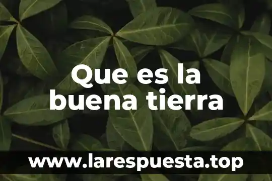 Para que es buena la cebolla en escabeche 3 Que es la buena tierra