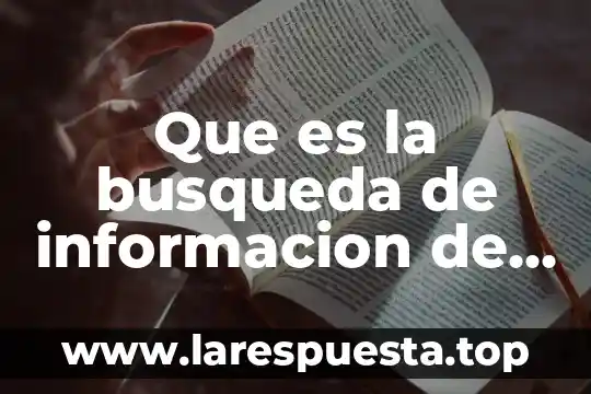 Búsqueda de información en internet que es 3 Que es la busqueda de informacion de la decision