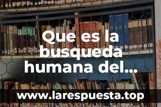 Búsqueda de información en internet que es 4 Que es la busqueda humana del sentido