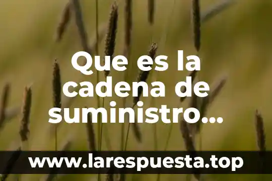 Que es la cadena de suministro articulo