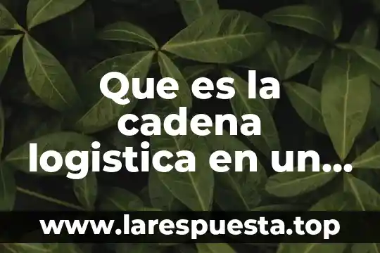 Qué es un inventario según la logística 3 Que es la cadena logistica en un proceso de produccion