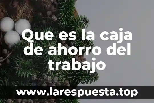 Ley de los sistemas de ahorro para retiro que es 8 Que es la caja de ahorro del trabajo