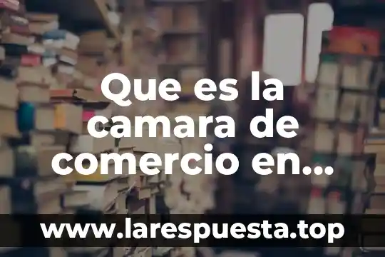 Que es mas pequeño proton neutron o electron 8 Que es la camara de comercio en pequeño de irapuato