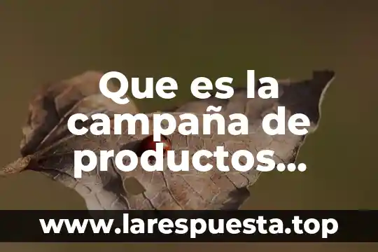 Que es la campaña de productos comerciales